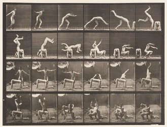 Plate 364. Hand-spring over Man