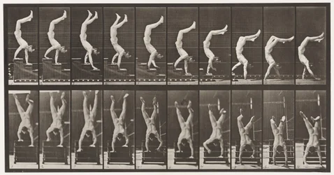 Acrobat, Descending Stairs on Hands