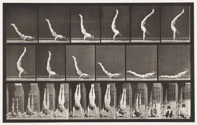 Acrobat, Horizontal Press Up