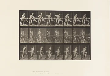 Carpenter, Sawing