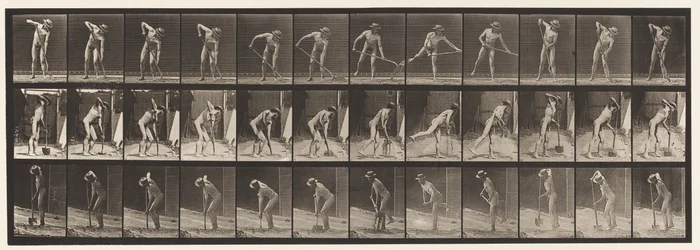 Plate 387. Farmer, Using a Long-Handled Shovel