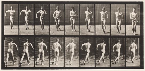 Plate 3. Walking