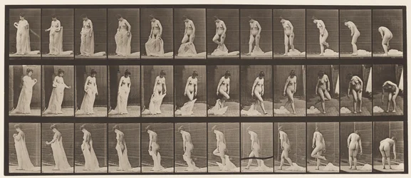 Plate 430. Toilet; Taking Off Clothing