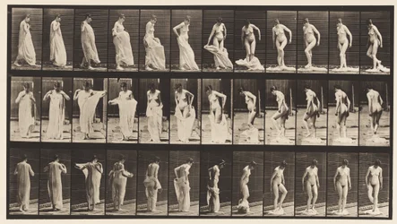 Plate 431. Toilet; Taking Off Clothing