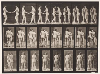 Plate 444. Two Models Shaking Hands and Kissing Each Other