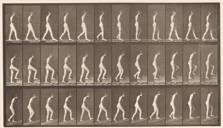 Plate 482. A, Walking; B, Ascending Stairs; C, Ascending Incline
