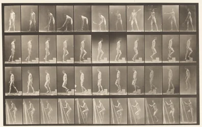 A, Lawn Tennis; B, Ascending a Step