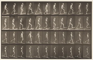 Plate 489. Ascending Incline, 1872-1885