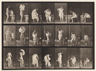 Miscellaneous Phases of the Toilet