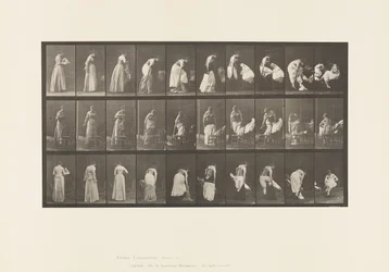 Plate 497. Miscellaneous Phases of the Toilet, 1885