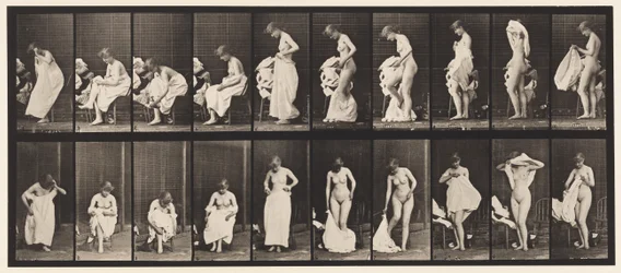 Miscellaneous Phases of the Toilet