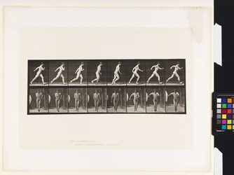 Plate 4. Walking