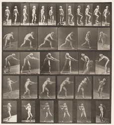 Walking; Ascending Step; Throwing Disk