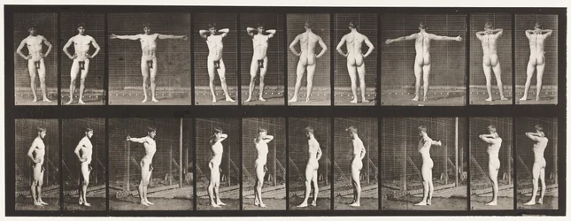 Plate 529. Various Poses