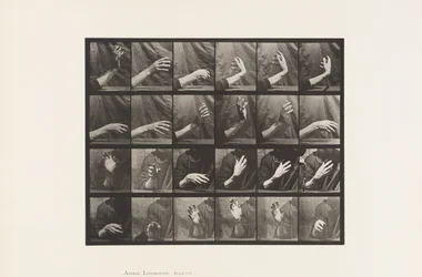 Movement of the Hand; Beating Time
