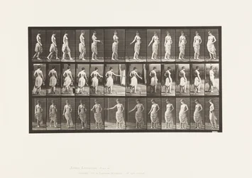 Plate 53. Walking, Scattering Flowers and Turning Action