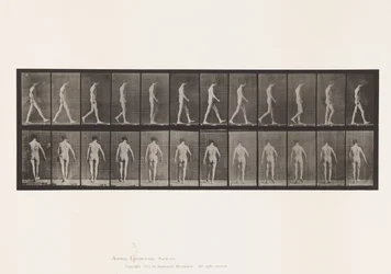 Locomotor Ataxia; Walking