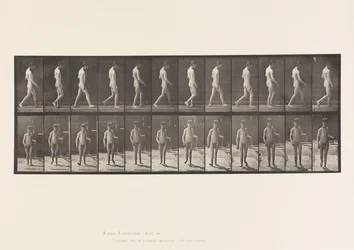 Epilepsy; Walking
