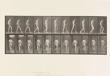 Locomotor Ataxia; Walking