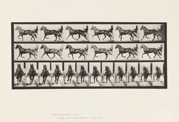 Plate 595. Rocking (Pacing): Sulky; Brown Horse Pronto