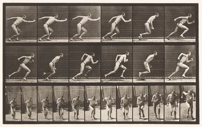 Plate 59. Starting for a Run