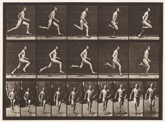 Running at a Half-Mile Gait (Shoes)