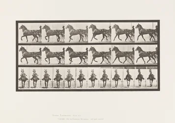 Trotting; Sulky; Bay Horse, Dereumd (Plate 612)