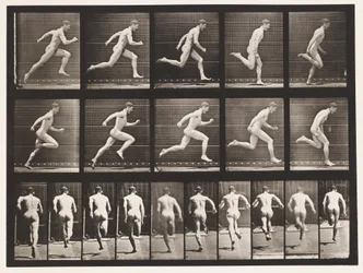 Plate 63. Running at Full Speed