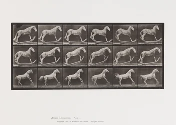 Plate 649. A, Hornet, Rocking; B, Eagle, Rolling Barrel, Etc.