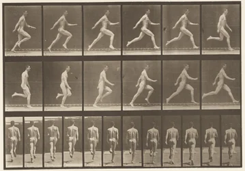 Plate 64. Running at Full Speed