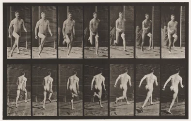 Plate 66. Running