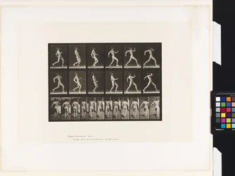 Plate 7. Walking