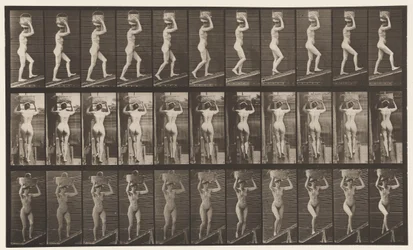Plate 80. Ascending Incline