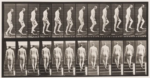 Plate 89. Ascending Stairs