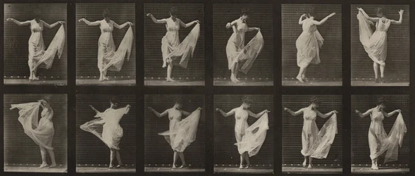 Plate Number 187. Dancing (Fancy)