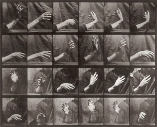 Sequence with Hand Movement, Plate 535 from Animal Locomotion