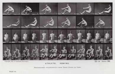 The Human Figure in Motion: Athlete, Rowing