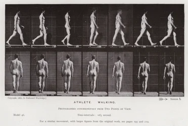 The Human Figure in Motion: Athlete, Walking