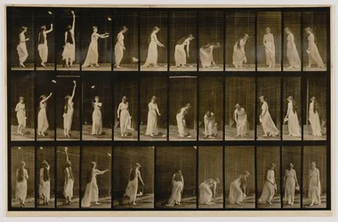 Woman Throwing Handkerchief in Air, Picking It Up, from the Book Animal Locomotion