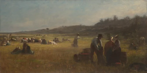 Cranberry Pickers