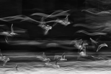 The Boundary Between Reality and Fantasy