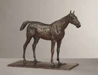 Horse Standing