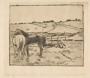 Horses in the Meadow