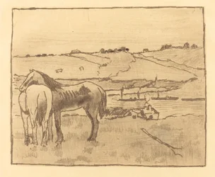 Horses in the Meadow
