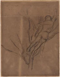 Man Pruning a Tree
