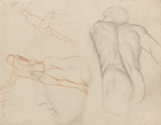 Studies of 