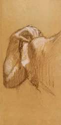 Study of an Arm