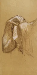 Study of an Arm