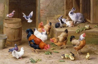 Farmyard Friends