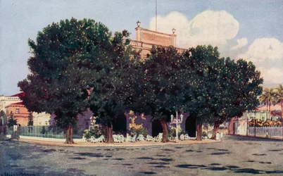 The Hotel dos Estrangeiros, Frequented by the Official World of Rio and distinguished Foreigners